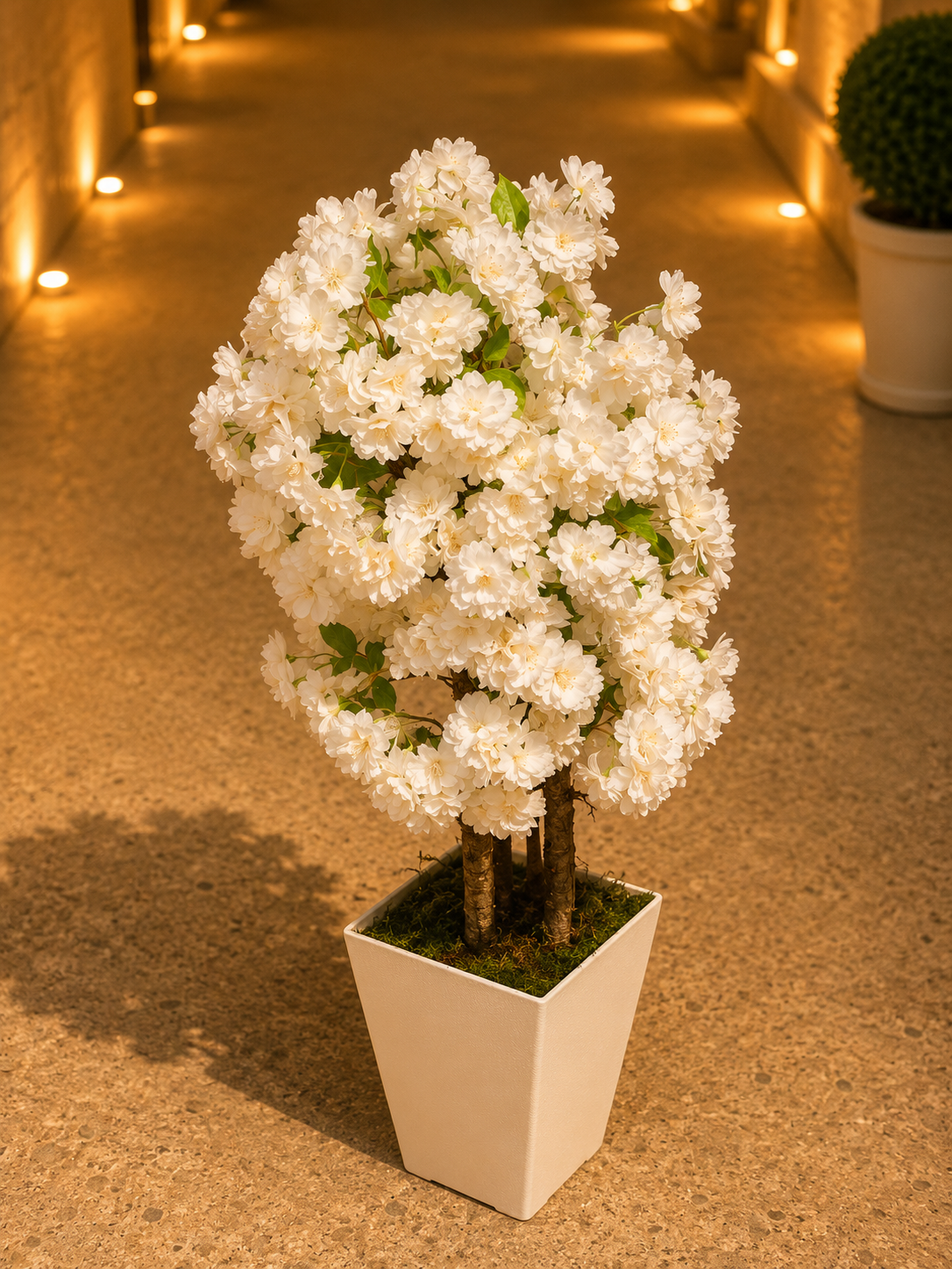 arbuste fleuri décoratif premium arbuste fleuri décoratif premium