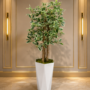 ficus panaché artificiel