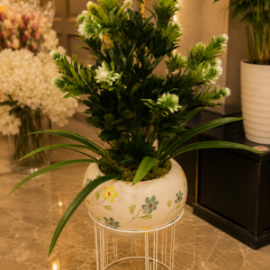 plante décorative premium en vase design